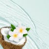 Herbal Essences Shampoo with Coconut Water & Jasmine, 29.2 fl