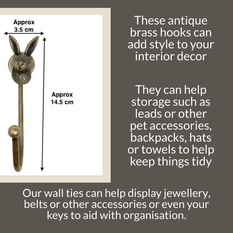 Knobs By Blossom Vintage Antique Brass Iron Wall Hooks Tie