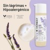 Honest Shampoo & Body Wash, Ultra Calming Dreamy Lavender, 10