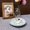Decore AG-43668 2-Way Animal Incense Holder, Hedgehog 1.5 x 1.9