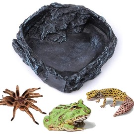 Litewoo Pet Terrariums Food Bowl Water Dish, Natural Shape Habitat Décor Reptile Feeding Bowl