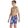 Speedo HydroTurn Allover Panel Boys Jammer Print 17 Black Black/Violet