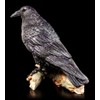 Birsppy FVLFIL Black Raven Figurine with Key - The Raven