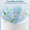4 Pack Mini Max Air Filter Replacement, FMINI Filter Compatible