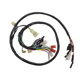 Juicinyi Wiring Wire Harness for Honda FourTrax 300 TRX300 TRX300FW 2x4 4X4 32100-HM5-670 1994 1995 1996 1997 23806
