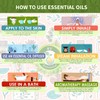 R V Essential Pure Melissa Essential Oil 15ml (0.507oz)- Melissa