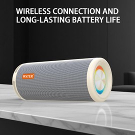 WSTER WS-810 Bluetooth Speaker with HD Sound, Portable Wireless, Output Power 40W*2, TWS Pairing, BT5.3, Supports FM and TF Input, for Home/Party/Outdoor/Beach.Gift Ideas. (White)