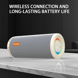 WSTER WS-810 Bluetooth Speaker with HD Sound, Portable Wireless, Output Power 40W*2, TWS Pairing, BT5.3, Supports FM and TF Input, for Home/Party/Outdoor/Beach.Gift Ideas. (White)