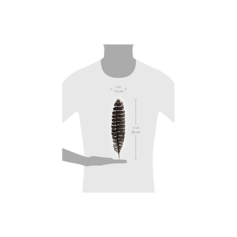 Incense Garden Grade A Barred Turkey Smudging Feather (no Stains,
