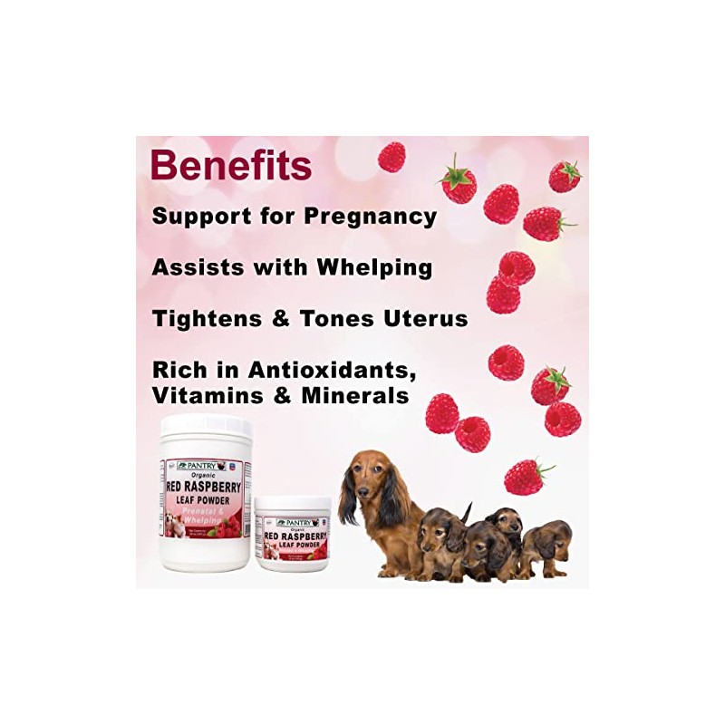Dogzymes Organic Red Raspberry Leaf Powder (6 Ounce)