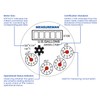 MEASUREMAN 3/4" Non-Pulsed Multi-Jet Gallon Hot Water Meter Heavy-Duty Brass