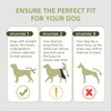 Lushnessu Adjustable Dog Leg Brace - ACL, Torn Ligament &