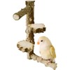La La Pet Natural Wood Bird Perch Stand Parrot Standing