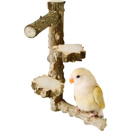 La La Pet Natural Wood Bird Perch Stand Parrot Standing Platform Detachable DIY Parakeet Perch Toy for Bird Cage Decor Multi Branch for 4pcs Parrots