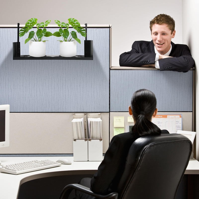 Lineshading Office Cubicle Shelf Storage Organizer Hanging File Organizer Cubicle