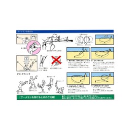 ラングスジャパン(RANGS) 右利き ラングス 競技入門用 R2 ブーメラン ホーネット