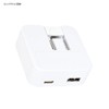 Gourmandise Peanuts USB/USB Type-C AC Adapter Joe Cool SNG-718B
