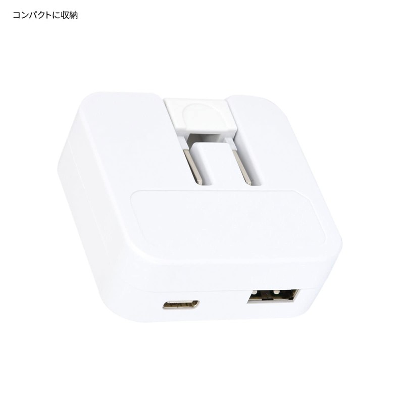 Gourmandise Peanuts USB/USB Type-C AC Adapter Joe Cool SNG-718B