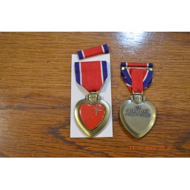 Unseen Wounds Medal & Ribbon - Agent Orange PTSD training accidents Camp Lejeune