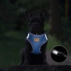 Aiminto Denim Dog Harness & Leash Set, Breathable Mesh, Lightweight,