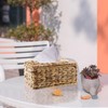Water Hyacinth Face, Rattan Tissue Box, 27.5 x 11.3 x