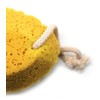 Basicare Bath Sponge (Sea Sponge Shaped) with Hanging Cord