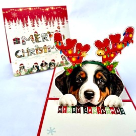 DongNaiWin Tuxedo Cat Christmas Card - Black and White Cat 3D Pop Up Card with Envelope - Tuxedo Cat Lovers Christmas Card