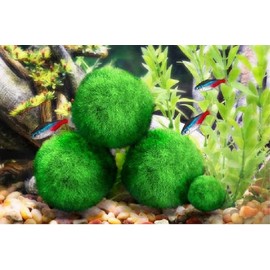 AMICET Aquarium Decoration Moss for Fish Tank Landscaping Balls (6pcs, 1.77in)