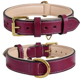 Collar de perro de piel auténtica, grano completo, resistente, cómodo, fuerte, mejor para cachorros, razas pequeñas, medianas y grandes, (tamaño mediano (tamaño de cuello de 14.5 a 18.5 pulgadas), rosa)