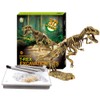 Dinosaur Fossil Digging Kit for Kids and Adult, STEM Science