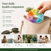 7 Day Pill Box Organiser Round Compact Travel Pill Box,