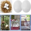 WEZCHUGHAOL 10 Fake Bird Eggs, Pigeons That Have Stopped Laying,