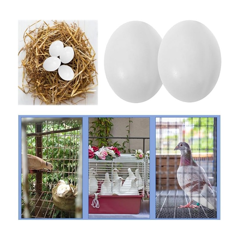 WEZCHUGHAOL 10 Fake Bird Eggs, Pigeons That Have Stopped Laying,