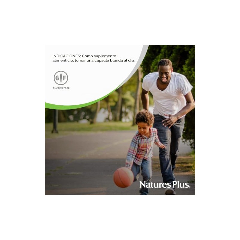 Lecithin 1,200mg Nature's Plus 90 Softgel by