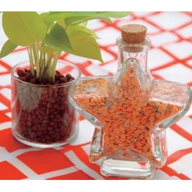 Red Lentils 4.2 oz (120 g) [Other]
