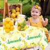 3Pcs Lemonade Table Cloth-Yellow Lemon Theme Disposable Plastic Table Covers