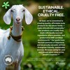 Goat Soap Moisturizing Shampoo & Conditioner Duo Pack Lemon Myrtle