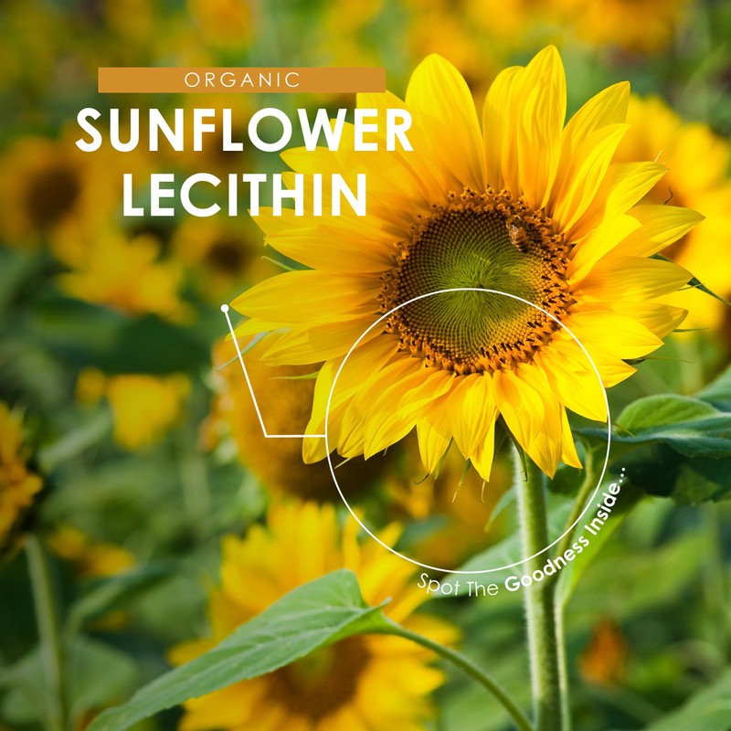 Sunflower Lecithin Powder 250g - De-Oiled 97% Essential Fat -