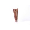 GOGO All Natural Premium Bully Pizzle Stick - 12" Inch