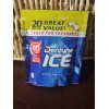 Dentyne Ice Peppermint 3 Packages With 20 Pieces Each Package-SHIPS