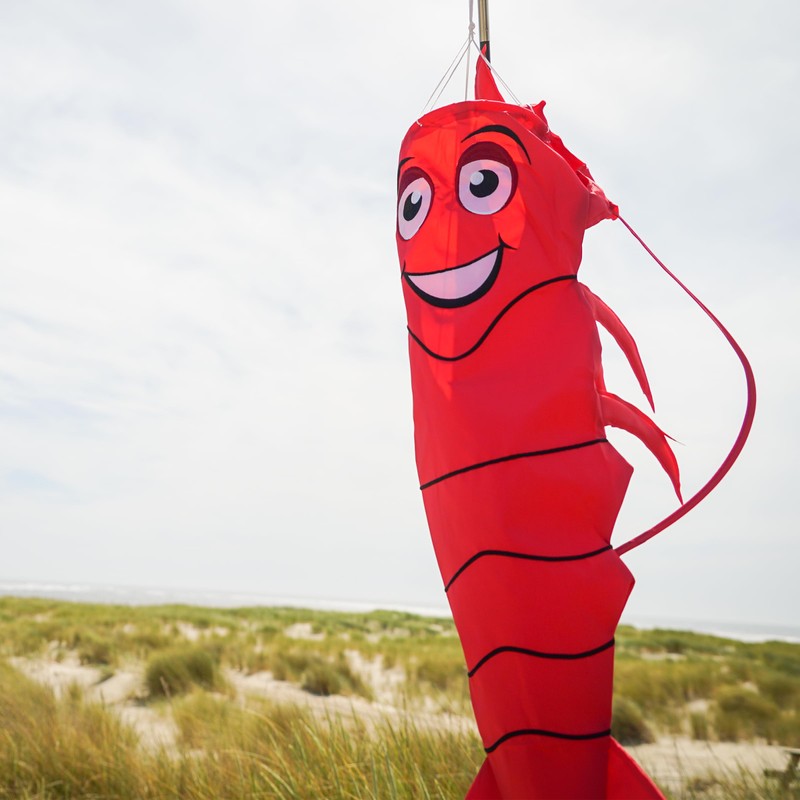 In the Breeze 5010 — 3D Lobster Windsock — Hanging