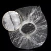 비닐 일회용 헤어캡 100개 Vinyl Disposable Hair Caps 100pcs