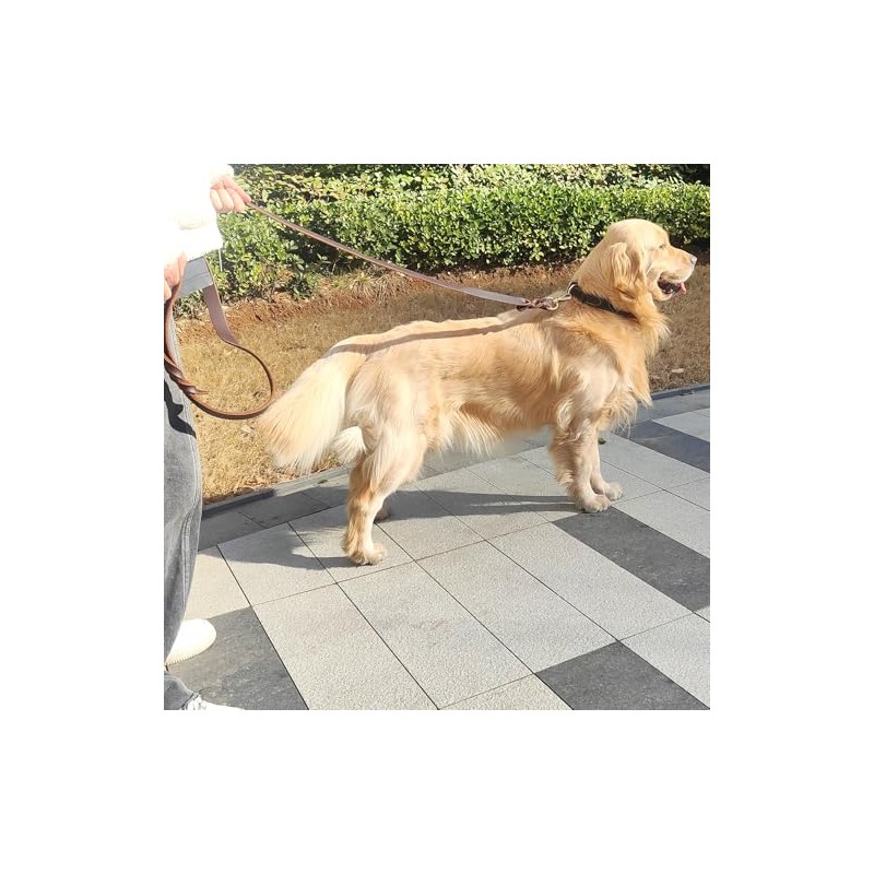 Correa de Cuero para Perros de 1,8 M X 1,9