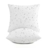 puredown® 22x22 Outdoor Pillow Inserts, Set of 2, Fluffy Soft