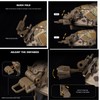 Hdlsina Airsoft Tactical Cosplay GPNVG18 Binoculars Night Vision Goggles Model
