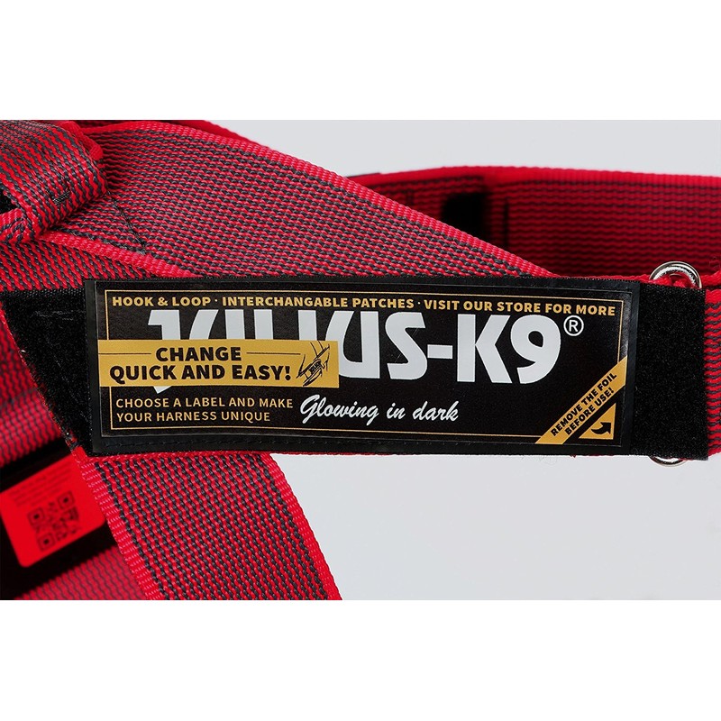 Julius-K9 16IDC-M-R-2015 IDC Color & Gray Belt Harness for Dogs,