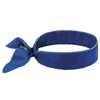 Ergodyne - 12399 Chill-Its 6702 Cooling Bandana, Evaporative Polymer Embedded