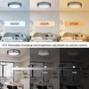 LED Ceiling Light Fixture with Remote 2 Pack 14 Inch