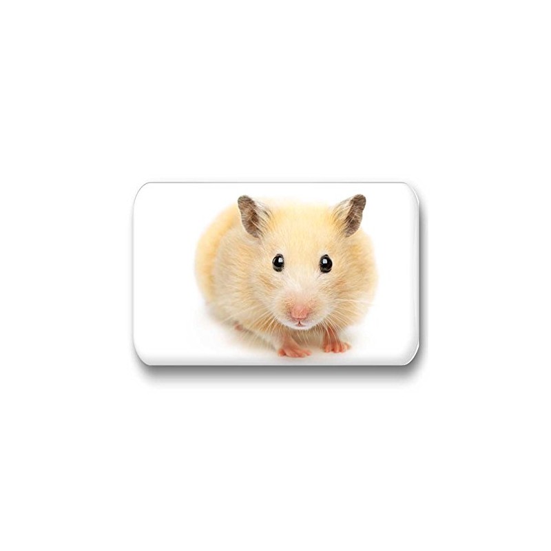 Hamsters/Dwarf Hamsters/Syrian Hamsters – 6 Rectangular Memo Board/Pinboard White Board