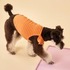 FURTiZEN Stripe Ruffle Tank for Dogs - Striped Dog Tank